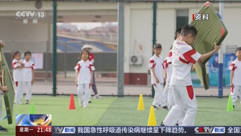 归化策略